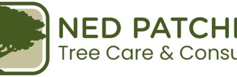 Tree Climber / Crew Leader – Ned Patchett Tree Care & Consulting